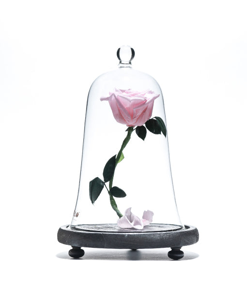 Be Our Guest - Preserved Flower Jar
