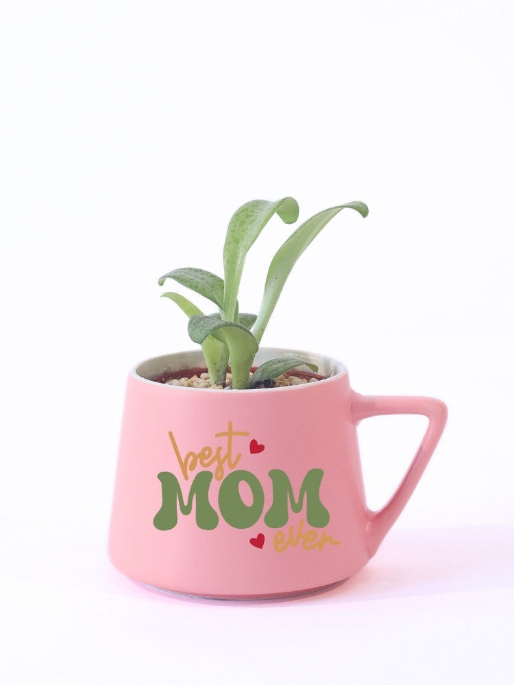 Best Mom Ever Plant Gift delivery Kuala Lumpur & Selangor