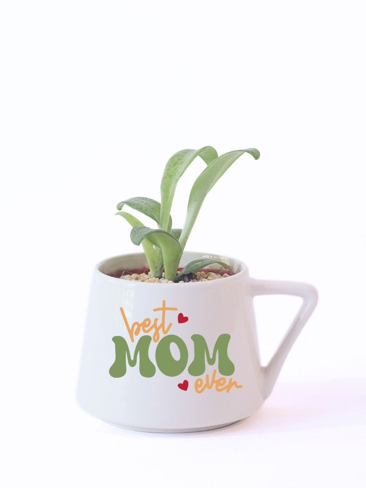 Best Mom Ever Potted Plant Gift delivery Kuala Lumpur & Selangor