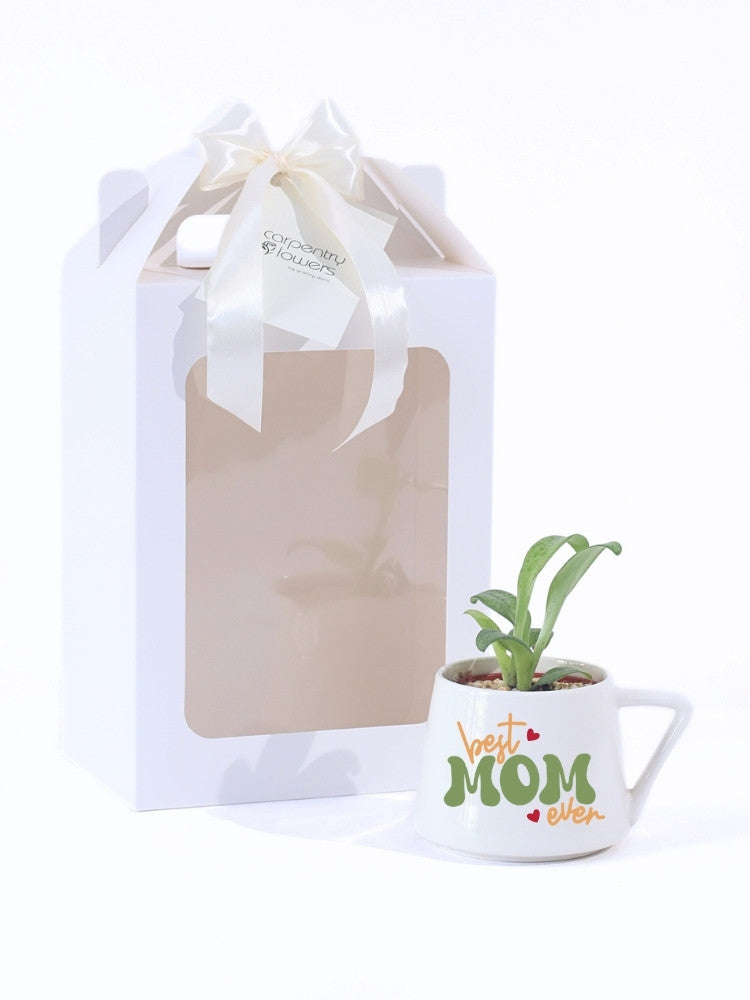 Best Mom Ever Potted Plant delivery Kuala Lumpur & Selangor