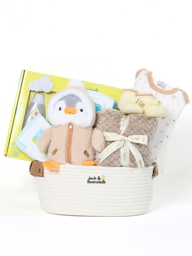 Chilly Willy Baby Hamper delivery Malaysia