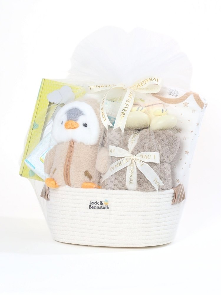 Chilly Willy Newborn Baby Hamper delivery Malaysia