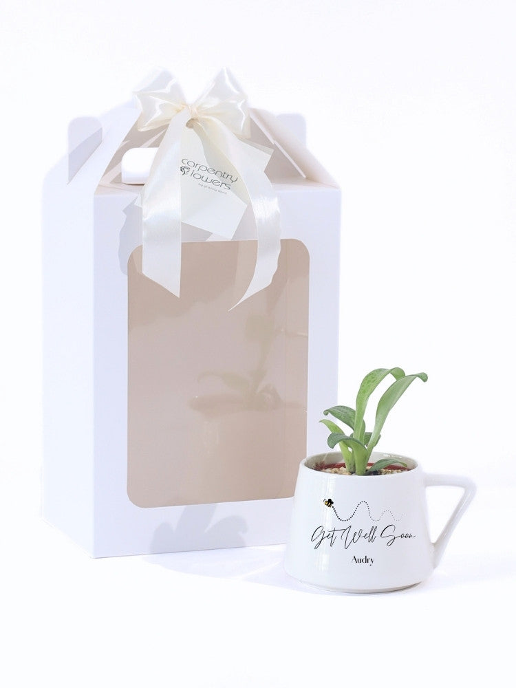 Customize Get Well Soon Potted Plant Gift delivery Kuala Lumpur