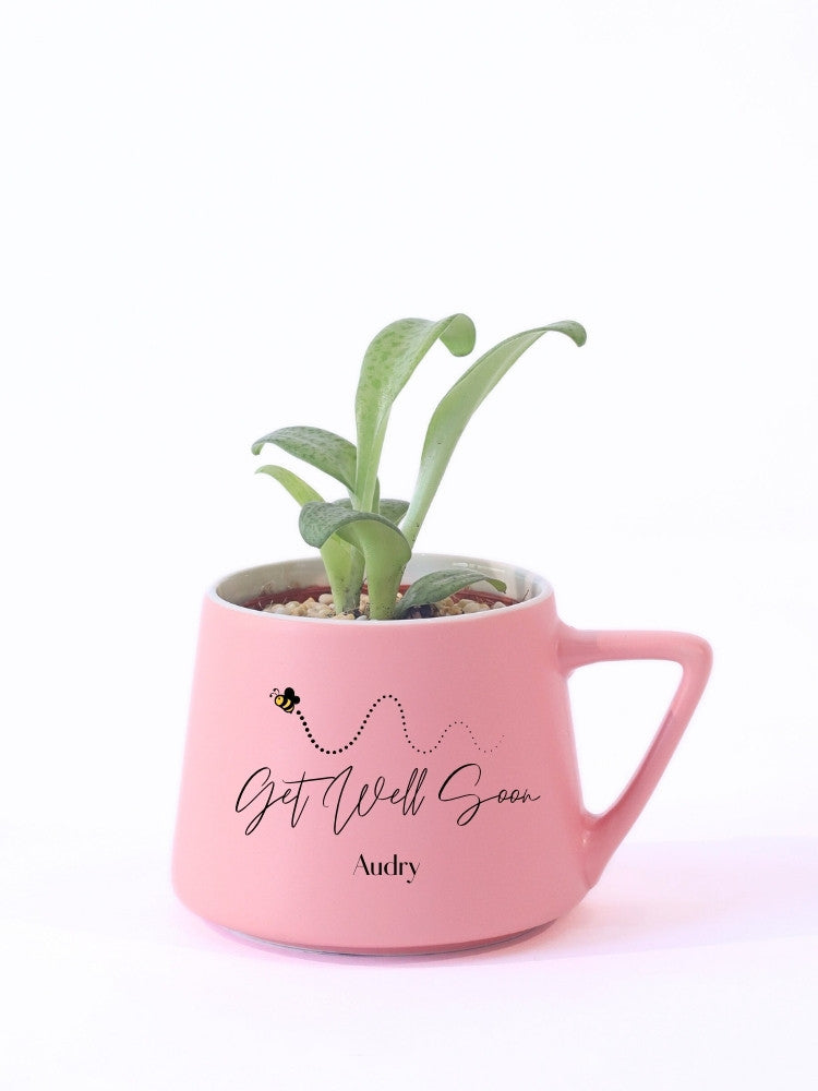 Customize Get Well Soon Plant Gift delivery Kuala Lumpur