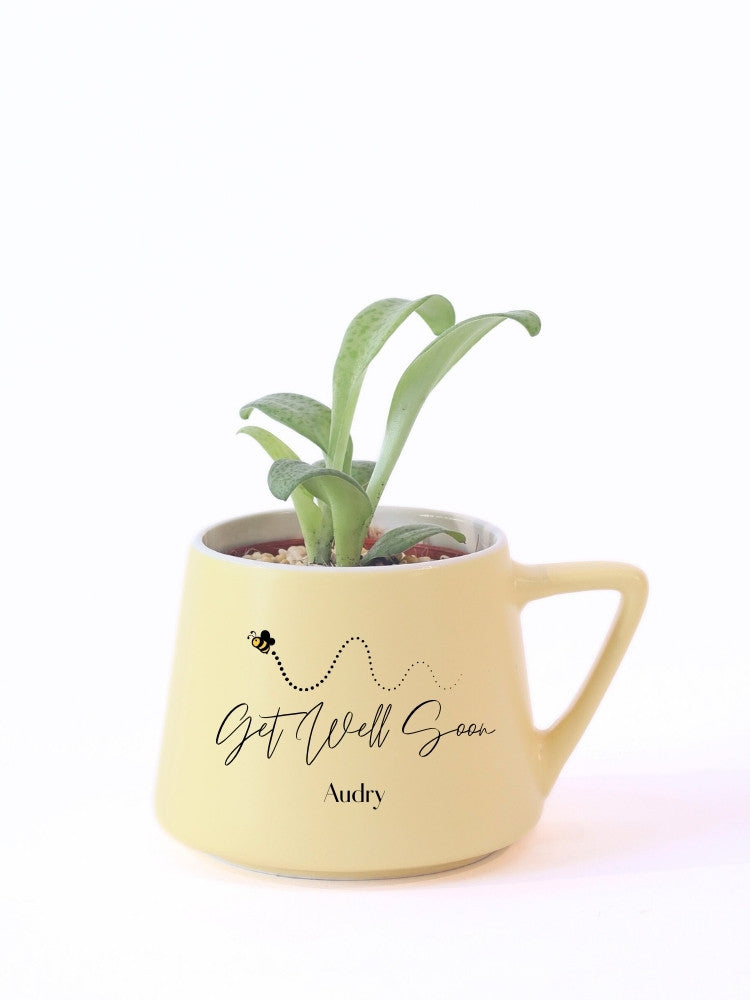 Customize Get Well Soon Plant Gift delivery Kuala Lumpur