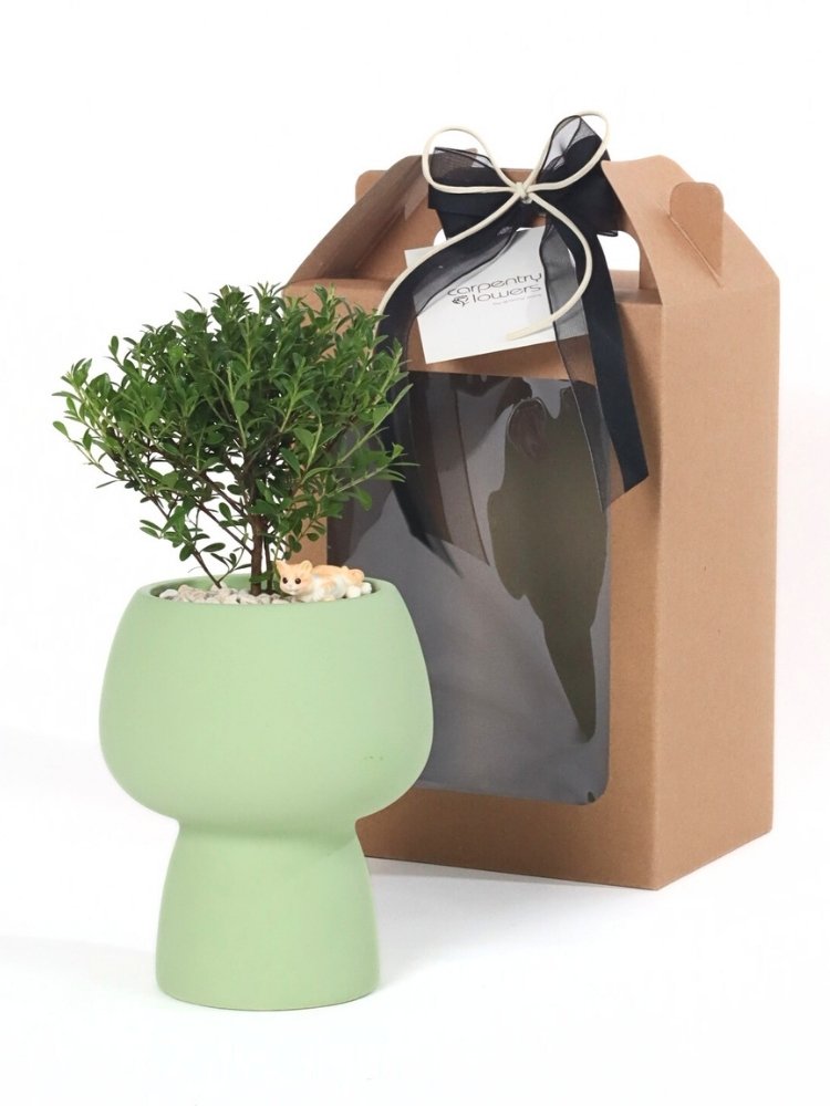 granny plant pot Enchanted Green