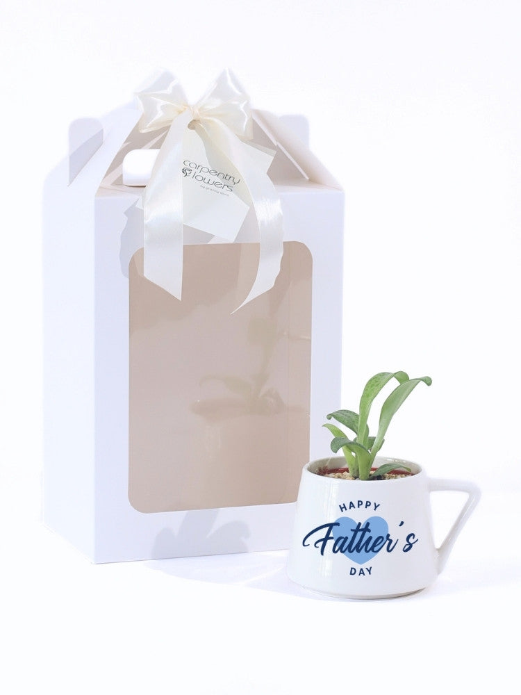 Father's Day Plant Gift delivery Kuala Lumpur