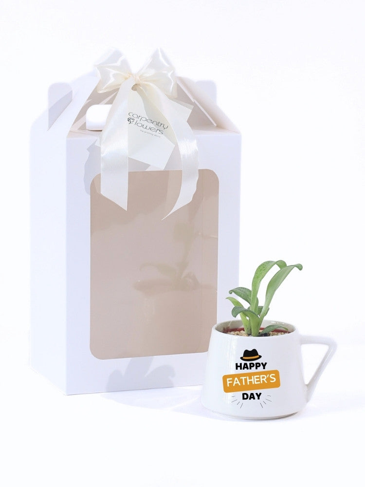 Happy Fathers Day Potted Plant Gift delivery Kuala Lumpur