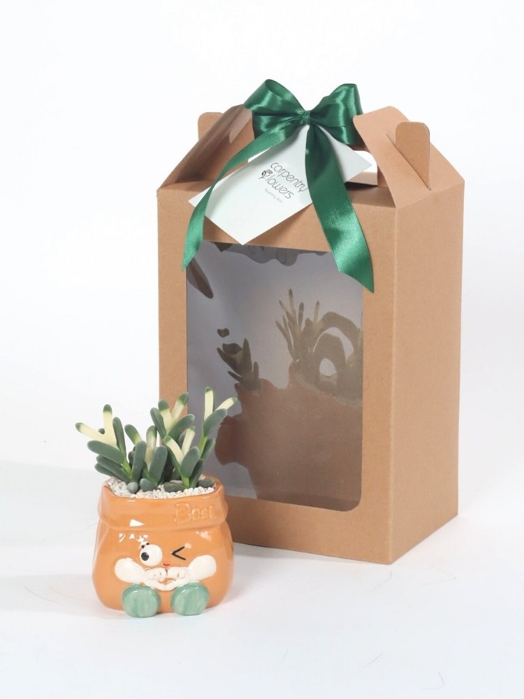 Little Green Buddy Plant Gift delivery Kuala Lumpur & Selangor