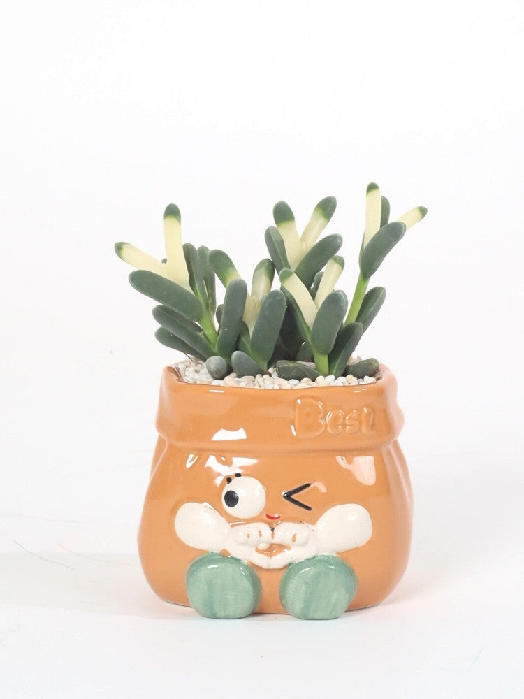 Little Green Buddy Potted Plant Gift delivery Kuala Lumpur & Selangor
