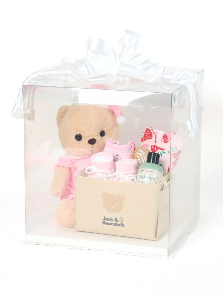 Little Snooze Bear Baby Girl Newborn Hamper delivery Malaysia