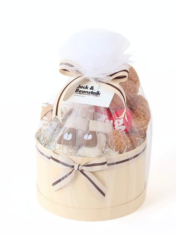 Teddy Hug Baby Gift Hamper delivery Malaysia