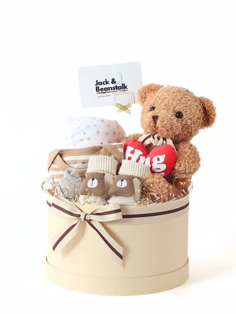 Teddy Hug Baby Hamper delivery Malaysia