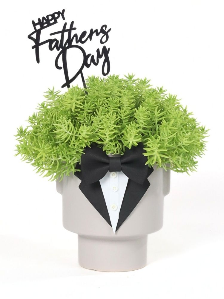 The Gentleman Father's Day Potted Plant Gift delivery Kuala Lumpur