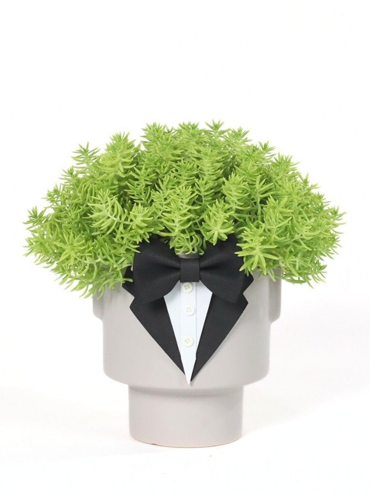 The Gentleman Potted Plant Gift delivery Kuala Lumpur