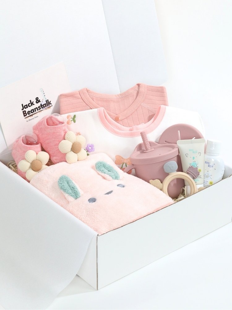 Twinkle Tots-Baby Girl Gift Set delivery Malaysia
