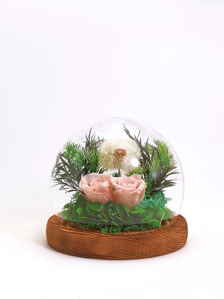 Wish Upon - Preserved Dandelion (Whole Malaysia Delivery)