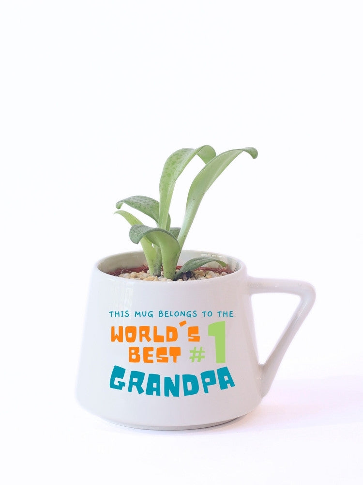 World’s Best Grandpa Plant Gift delivery Kuala Lumpur