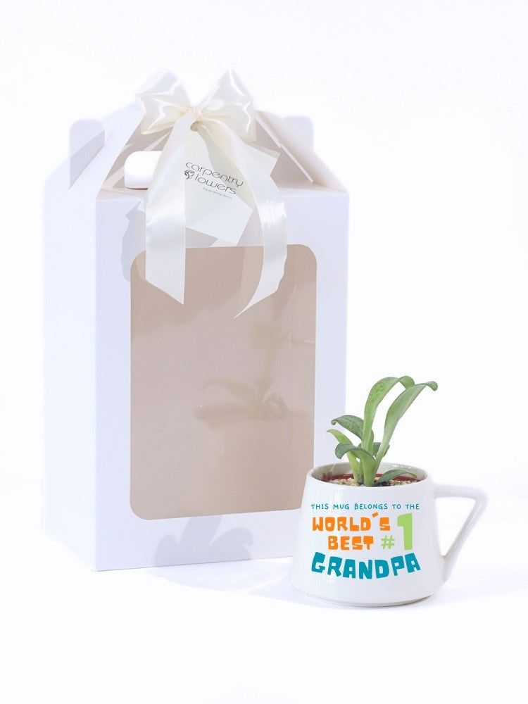 World’s Best Grandpa Potted Plant Gift delivery Kuala Lumpur