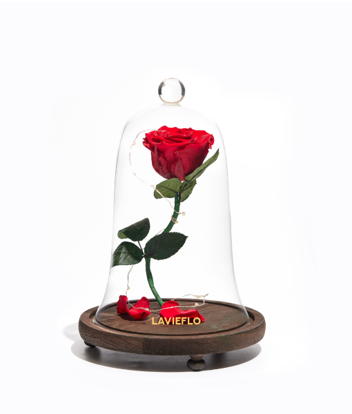 
                      
                        Be Our Guest - Preserved Flower Jar
                      
                    