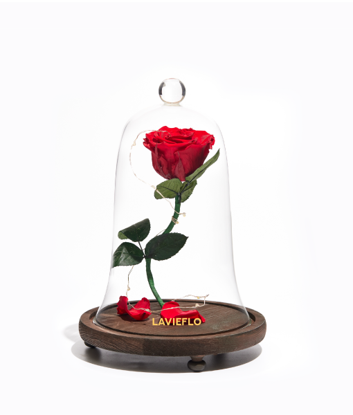 Be Our Guest - Preserved Flower Jar