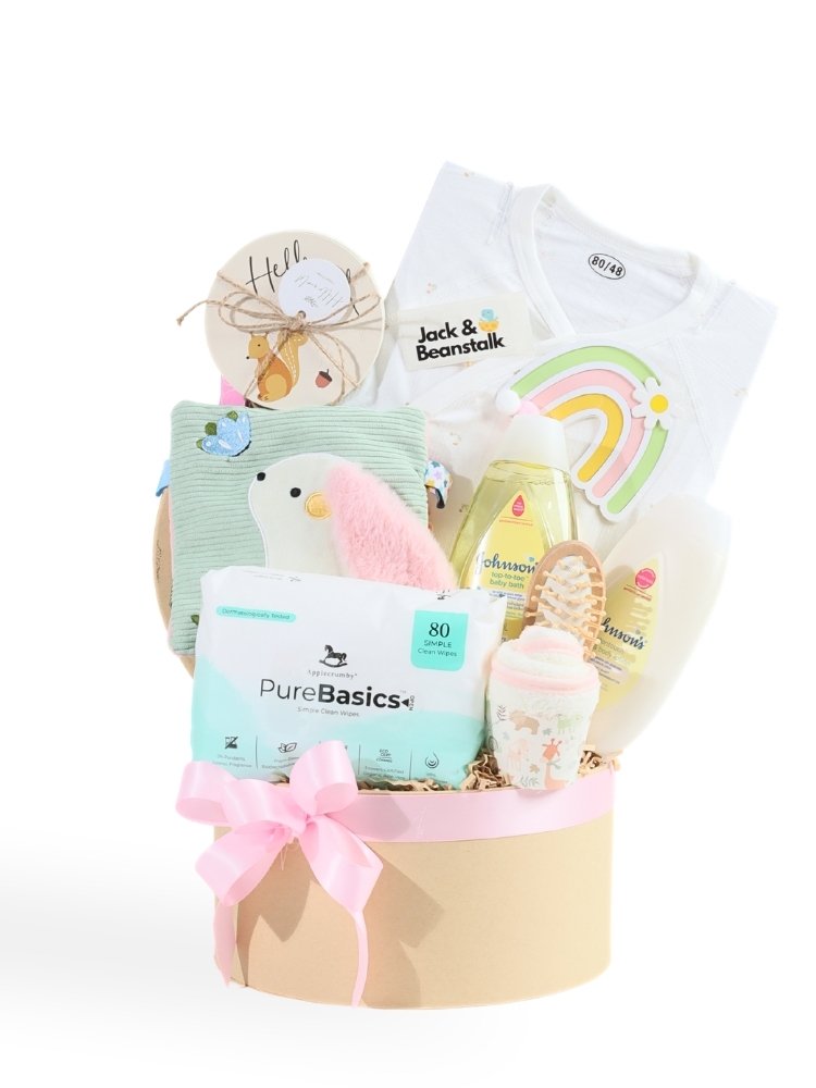 Binky Baby Girl Hamper delivery Malaysia