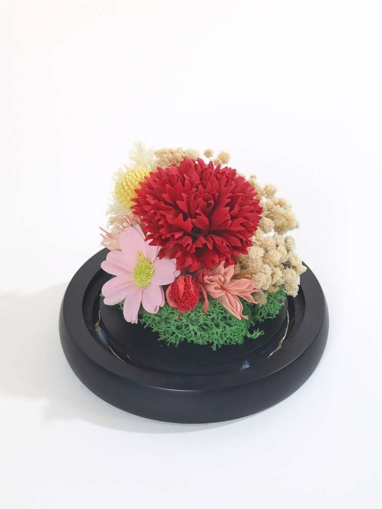 CS-0024