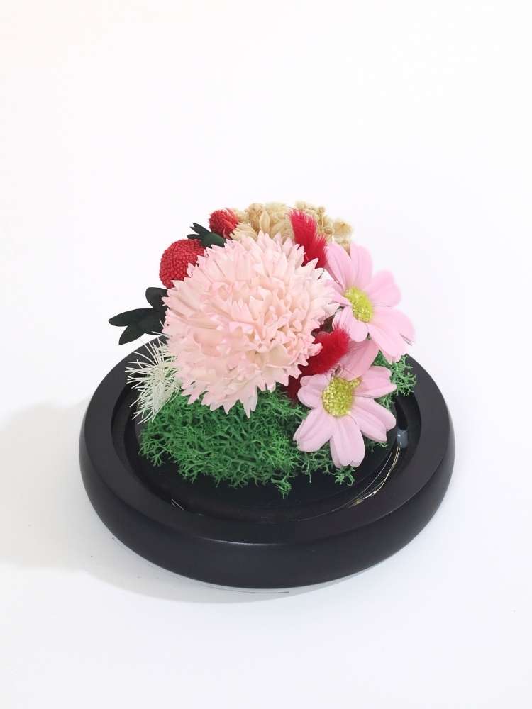 CS-0025