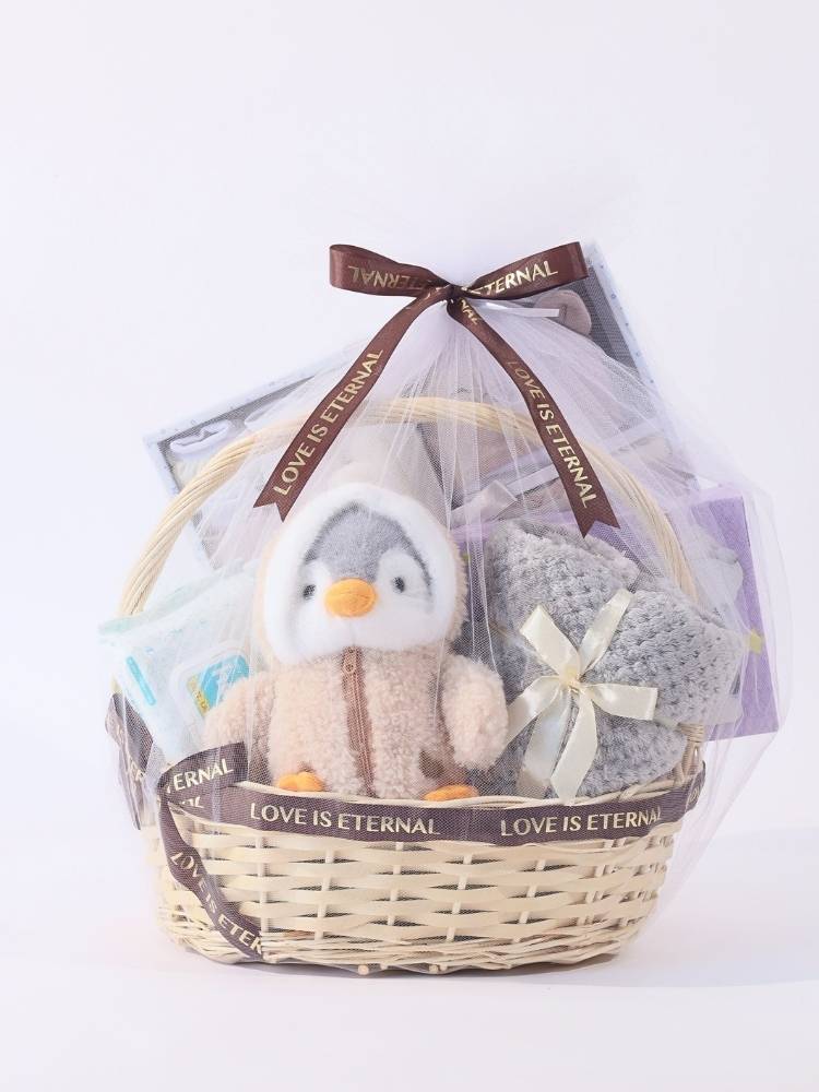 Chilly Willy Baby Gift Hamper delivery Malaysia