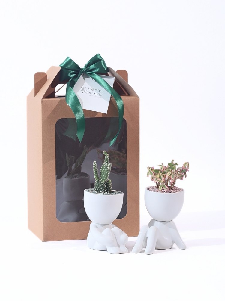 Count On Me Potted Plant Gift