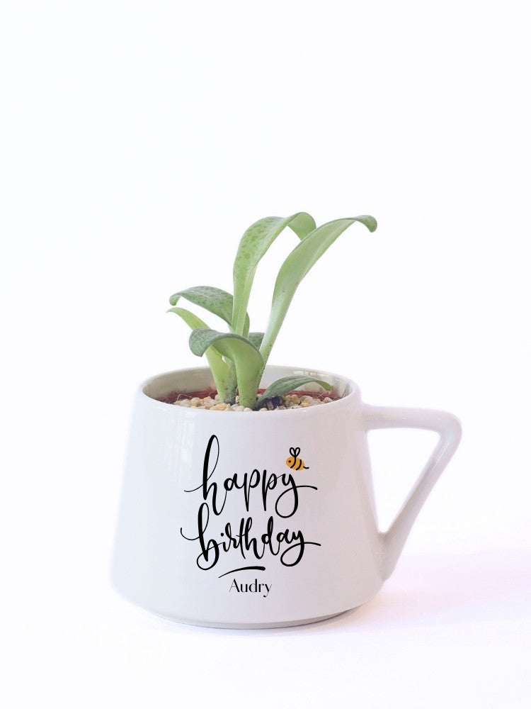 Customize Birthday Potted Plant Gift delivery Kuala Lumpur