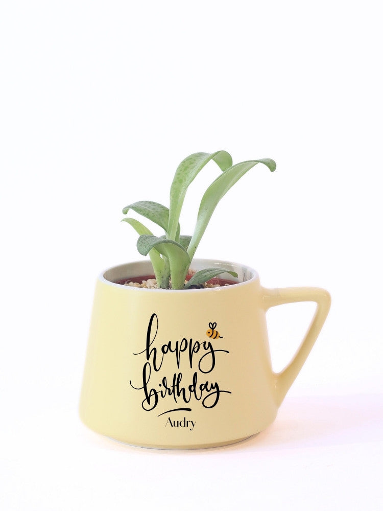 Customize Birthday Potted Plant Gift delivery Kuala Lumpur