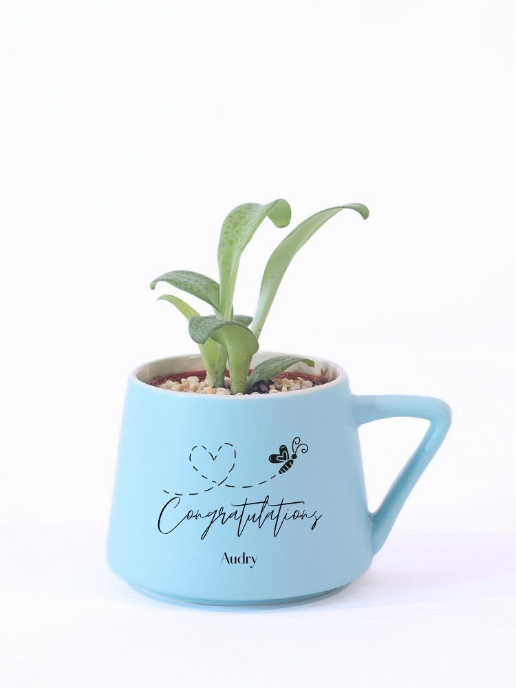 
                      
                        Customize Congratulation Potted Plant Gift delivery Kuala Lumpur
                      
                    