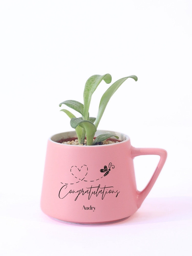 Customize Congratulation Potted Plant Gift delivery Kuala Lumpur