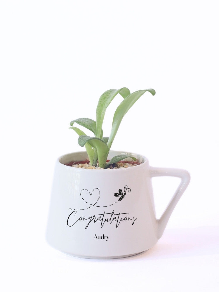 Customize Congratulation Potted Plant Gift delivery Kuala Lumpur