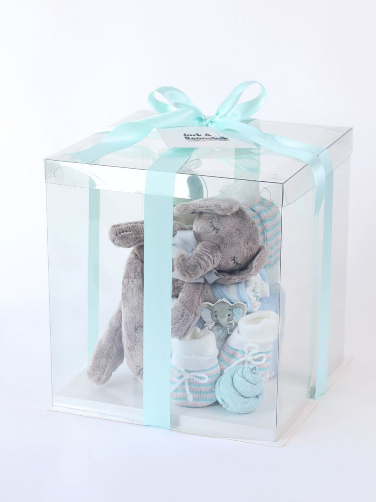 
                      
                        Dumbos Dreamland Baby Boy Hamper
                      
                    