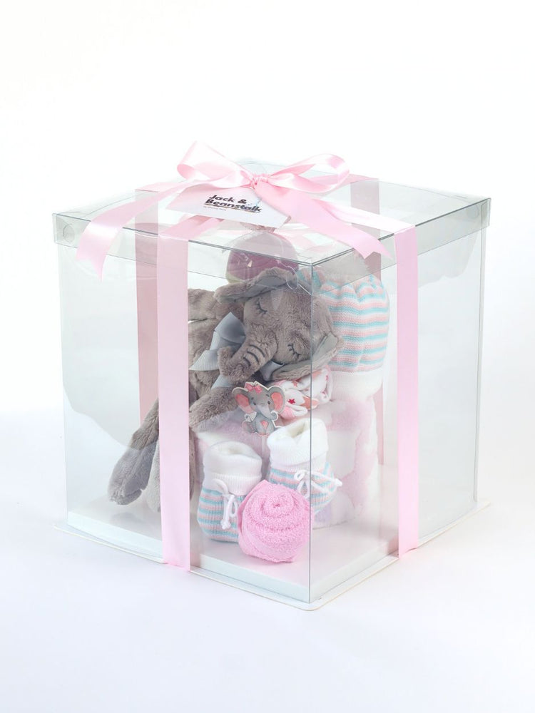 
                      
                        Dumbos Dreamland Baby Girl Hamper
                      
                    