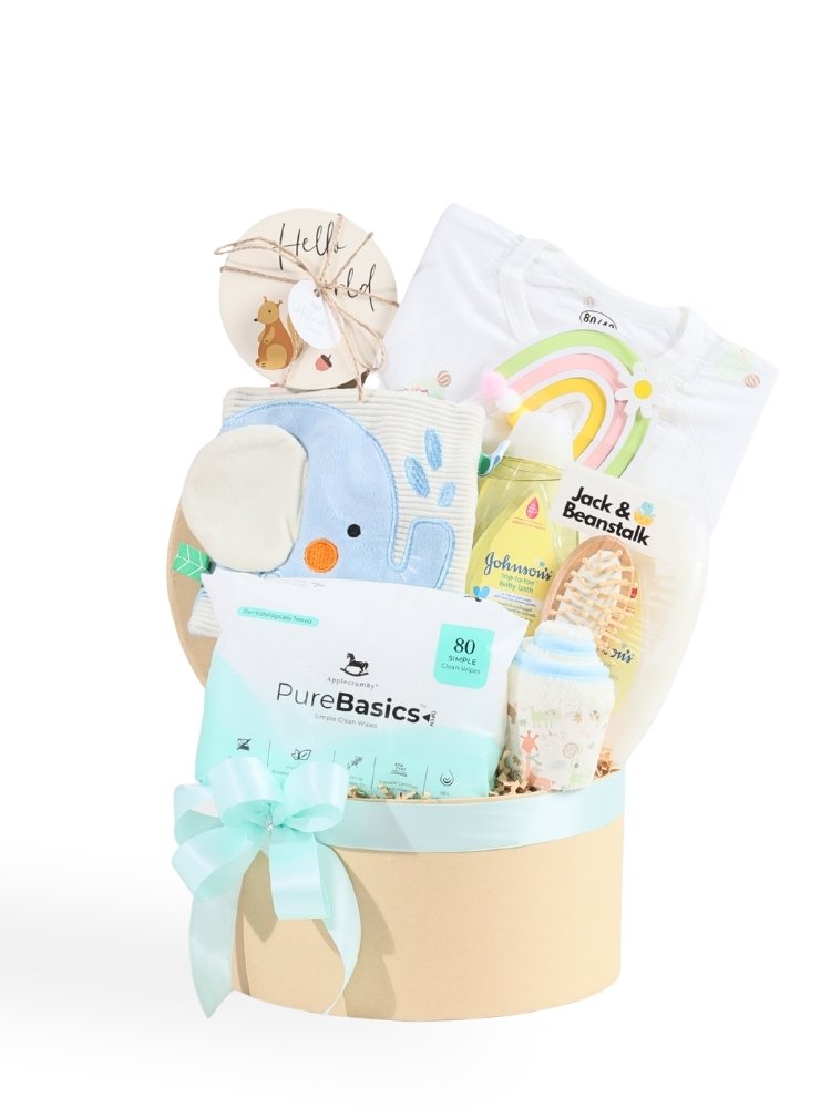 Elly Baby Boy Hamper delivery Malaysia