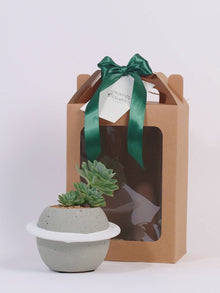  Greencrest_Plant Gift Delivery KL