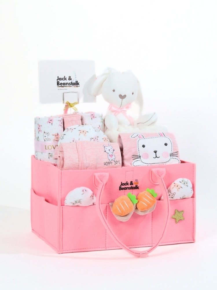 Happy BunBun Baby Girl Hamper delivery Malaysia