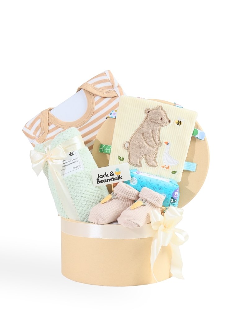 Honey Bear Baby Hamper delivery Malaysia