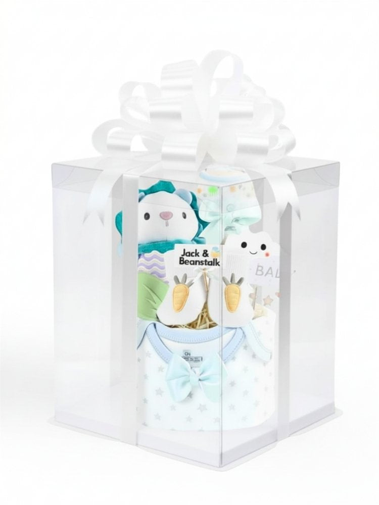Little Lion King Baby Gift delivery Malaysia