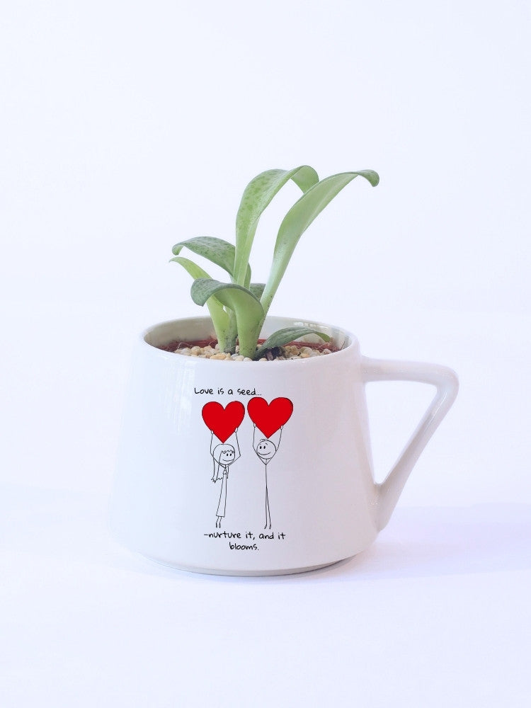 
                      
                        Love Sprout Plant Gift delivery Kuala Lumpur
                      
                    