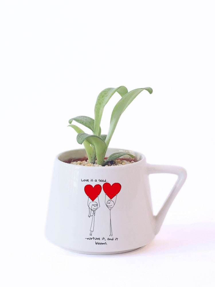 Love Sprout Potted Plant delivery Kuala Lumpur