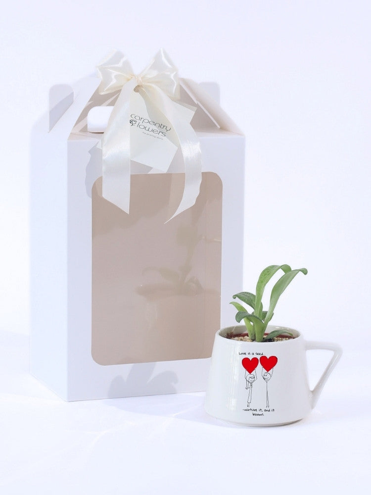 
                      
                        Love Sprout Potted Plant Gift delivery Kuala Lumpur
                      
                    