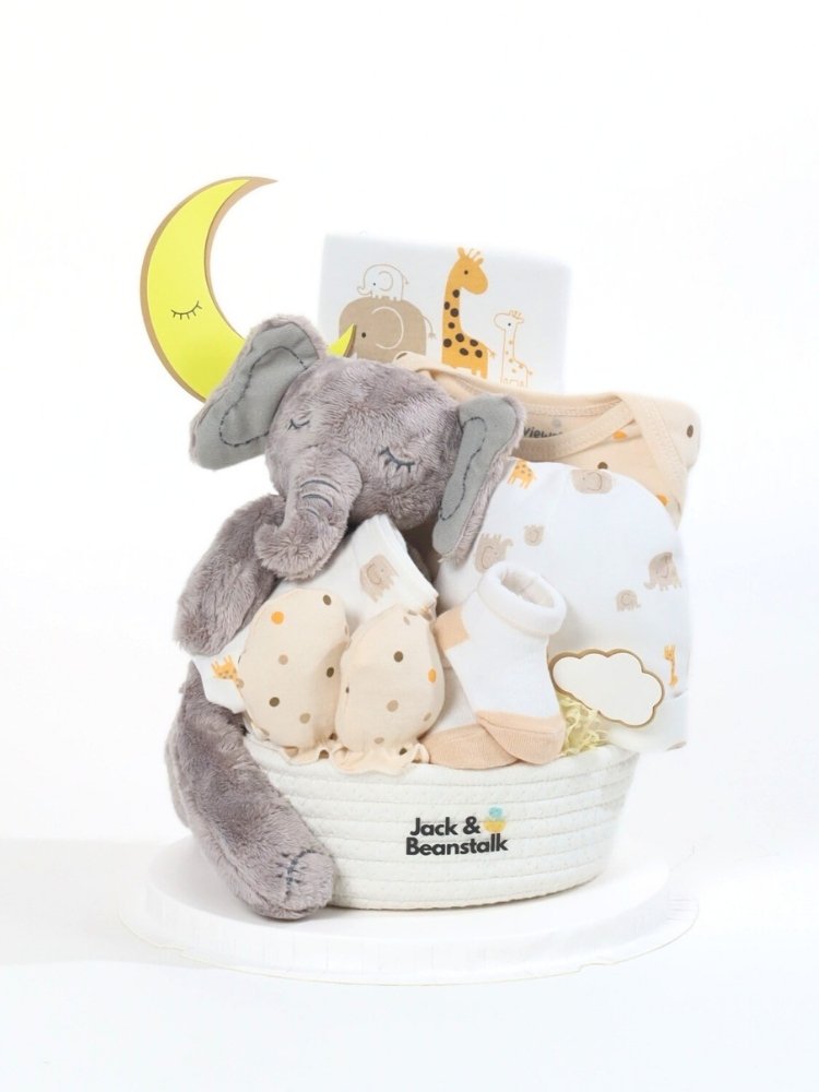 Lullamoon Baby Hamper delivery Malaysia
