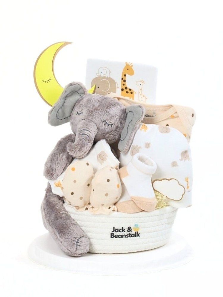 Lullamoon Baby Hamper delivery Malaysia