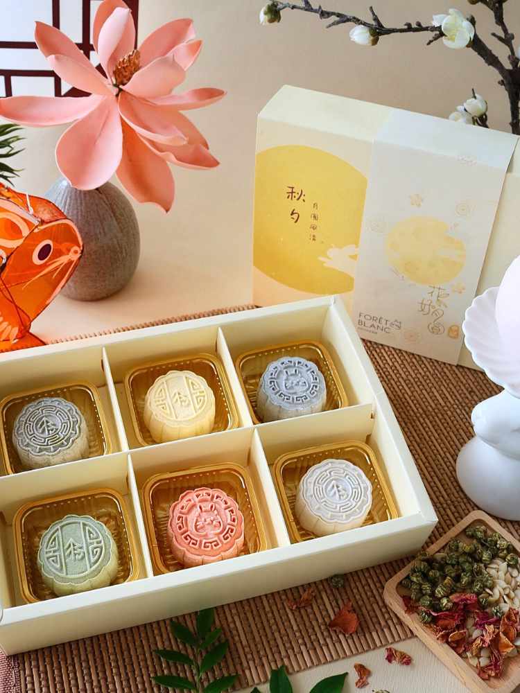 
                      
                        Mochi Snow Skin Mini Mooncake delivery KL
                      
                    