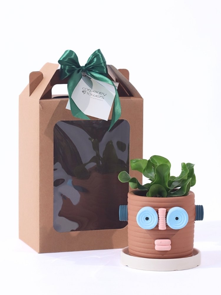 
                      
                        Oogly Boogly Potted Plant Gift
                      
                    