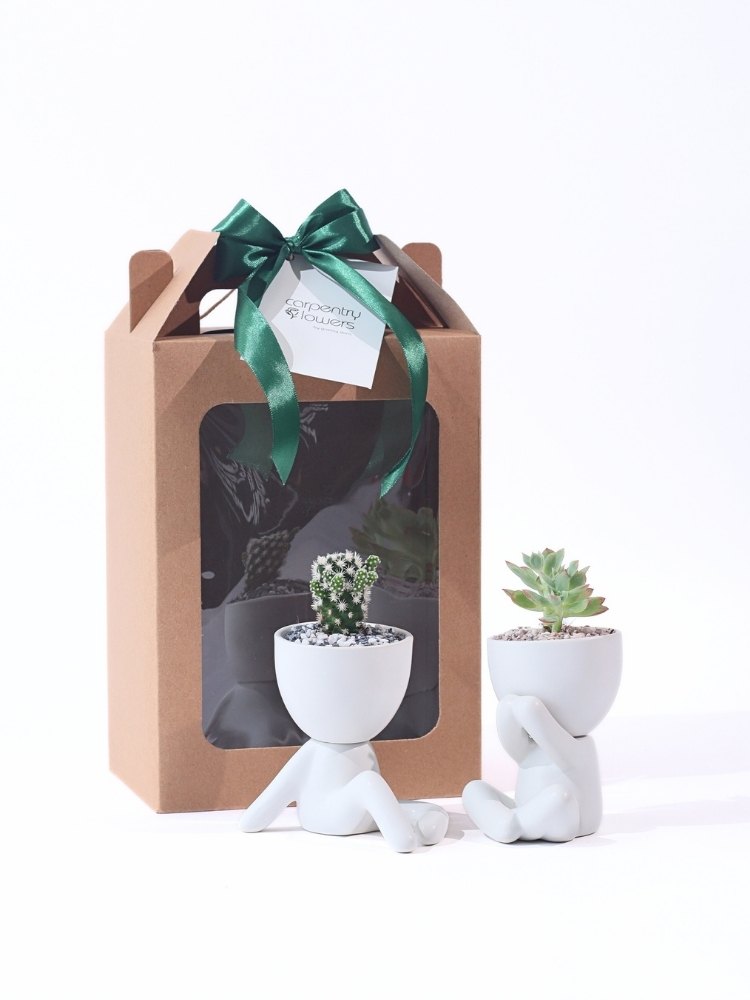 
                      
                        Soulmate Potted Plant Gift
                      
                    